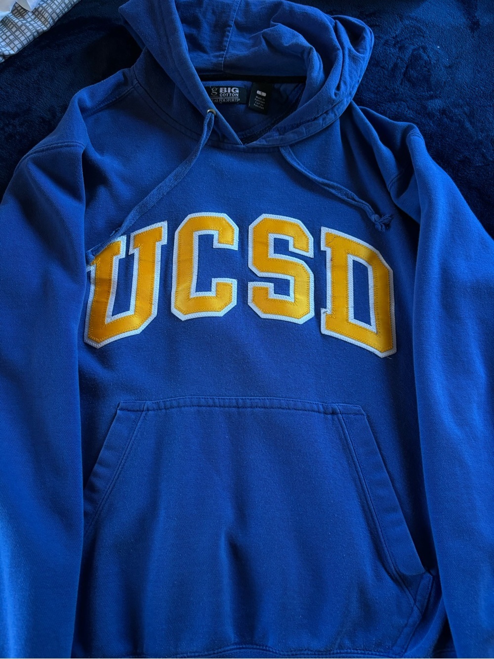 UCSD Vintage Hoodie